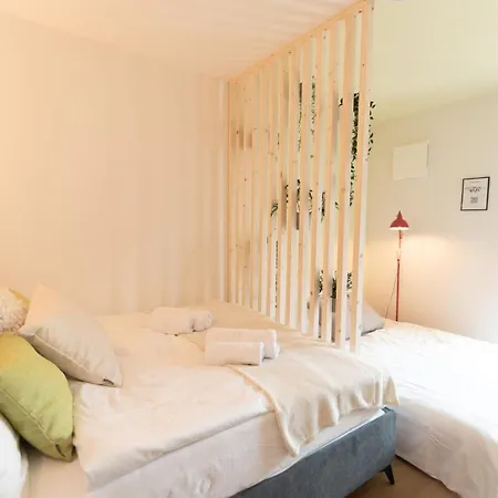 Peter Apartments- Mit Eigenem Eingang I 30qm I Zentrale Lage I Bad I Kueche I Terrasse I Tv * Fulda